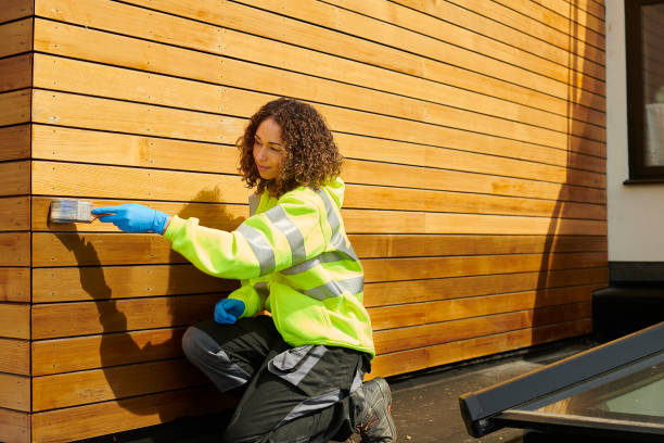 Best Insulated Siding Installation  in Ashland, CA